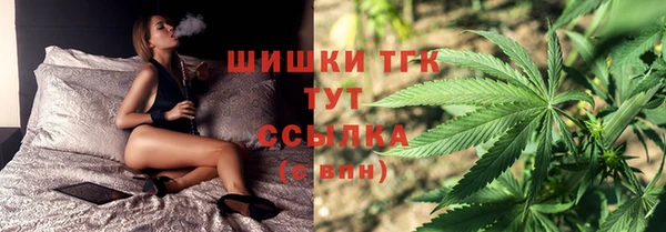 тгк Аркадак