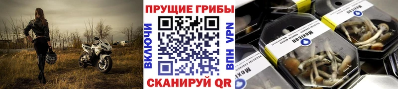 Галлюциногенные грибы мицелий  Севастополь 