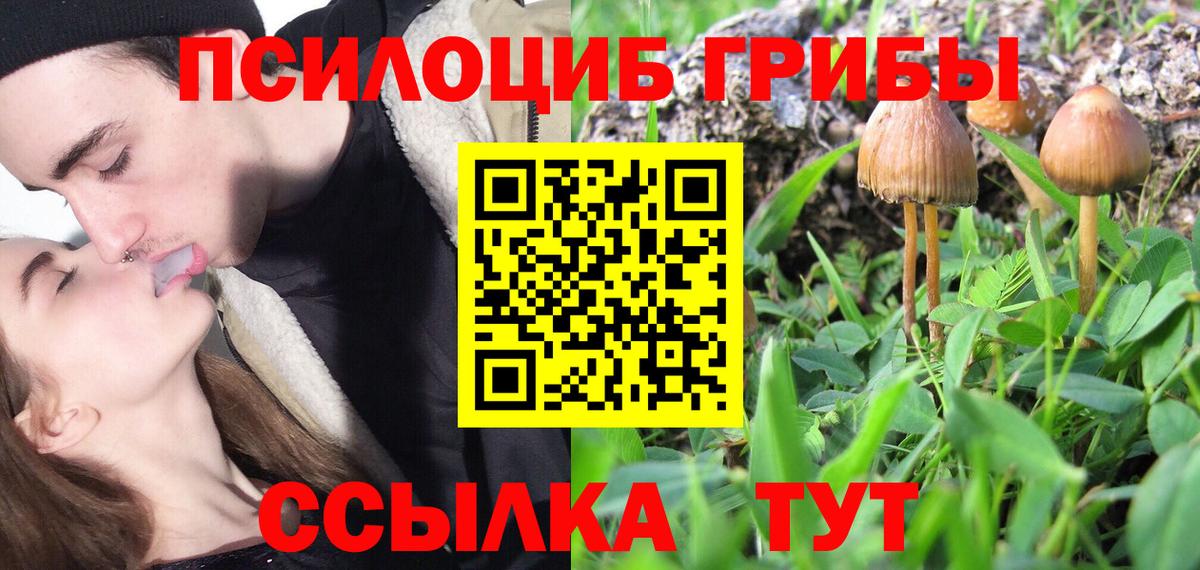 Псилоцибиновые грибы прущие грибы Севастополь