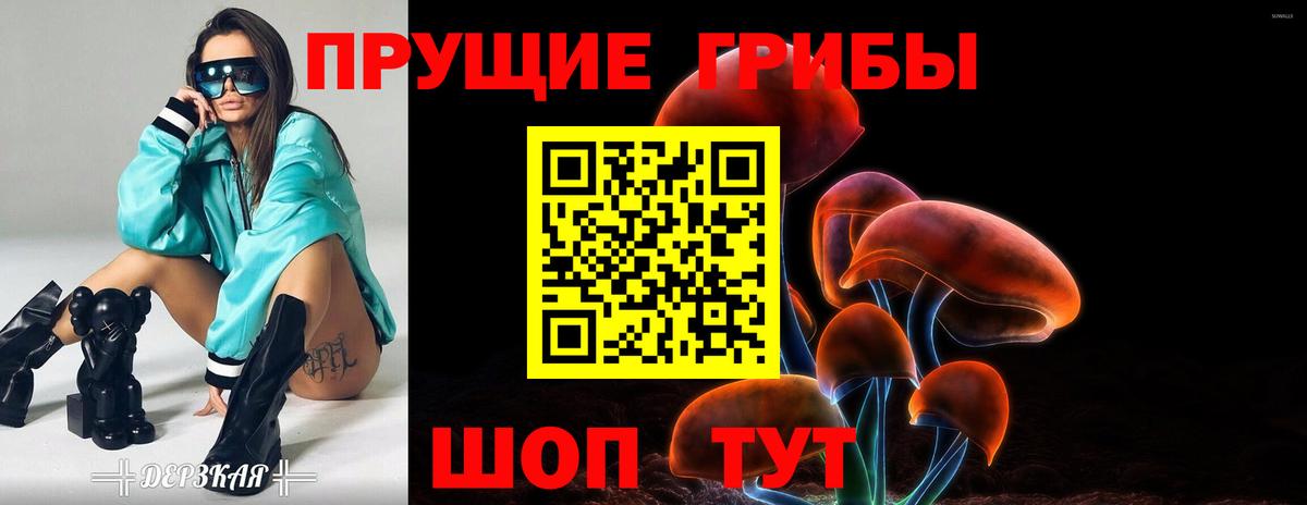 Севастополь  Псилоцибиновые грибы мухоморы  Вход с VPN 